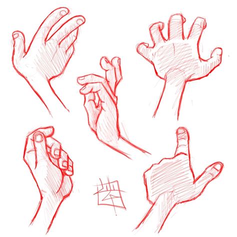 By Luigi Lucarelli Hand Drawing Reference How To Draw Hands Drawings