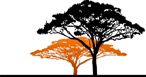 African Tree Png File Png Mart