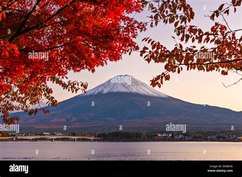 Mt Fuji With Fall Foliage In Japan Stock Photo Alamy