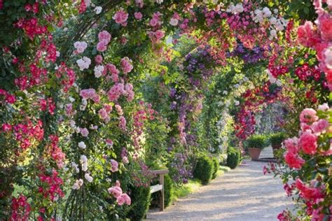 Maybe you would like to learn more about one of these? Rose Garden Beautiful Ideas - DECOREDO