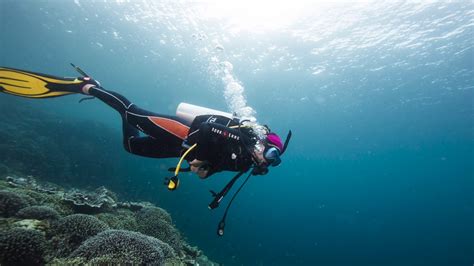 Diving Cebu Philippines Kids Matttroy