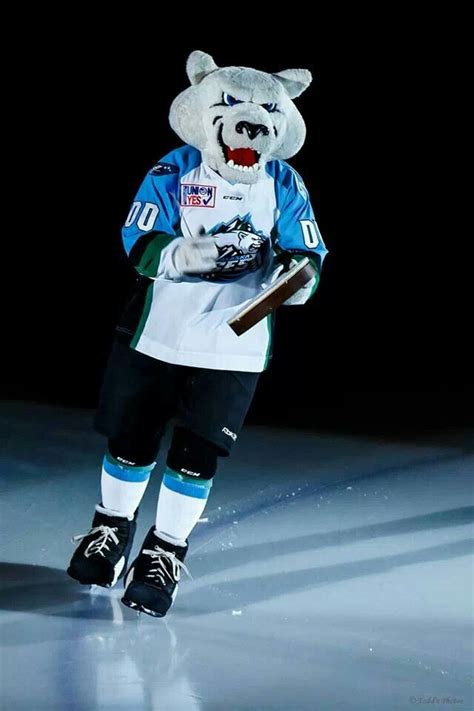 Best Mascot In The Echlboomer Can He Stand The Cold Alaska