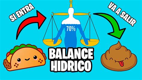 👉⚖️ Control De Balance Hidrico Concepto Y Practica Fácil Youtube