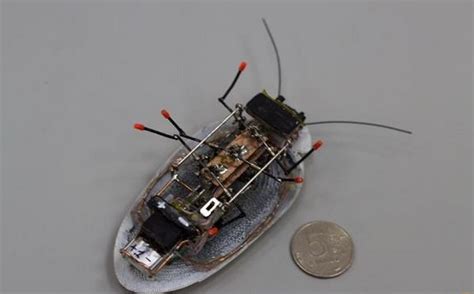 Russian Scientists Have Created A Robot Cockroach Errymath