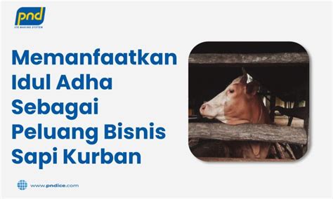 Memanfaatkan Idul Adha Sebagai Peluang Bisnis Sapi Kurban