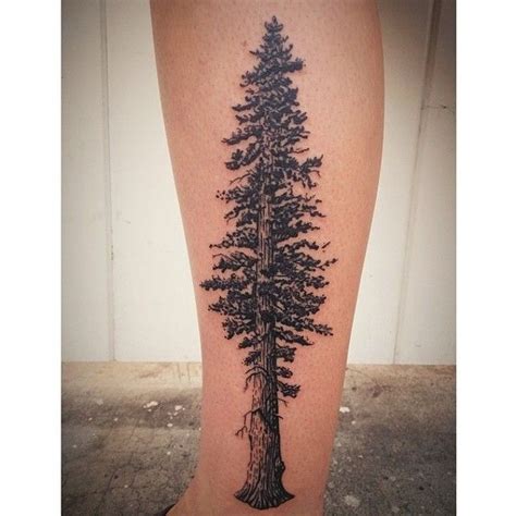 Redwood Tree Tattoo By James Tran Full Circle Tattoo San Diego Ca