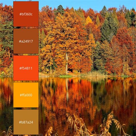 nature color palette | Color palette generator, Warm colour palette, Summer color palette