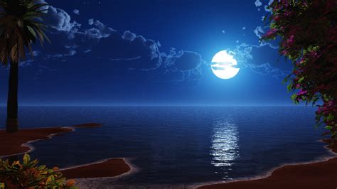 Download Tropical Beach Coast Full Moon Night Sky Scenery Digital