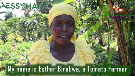 Empowering Farmers Through Essymart Africa Youtube