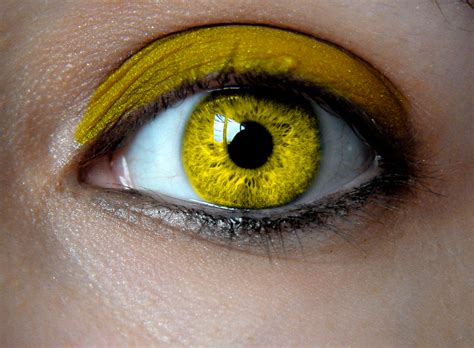 Categoryyellow Eyes Fictional Characters Wiki Fandom Powered By Wikia