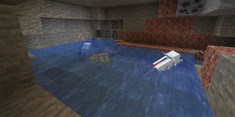 Getting The Rare Blue Axolotl In Minecraft Qurz Game