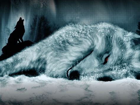 Powerful wolf live wallpaper hd for all admirers of this wild animal! 49+ 3D Wolf Wallpapers on WallpaperSafari