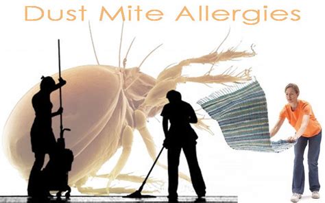 Treatment Of Dust Mite Allergies A Little Precaution Can S Flickr