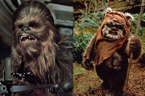 Chewbacca And Ewok Ewok Uproxx Star Wars