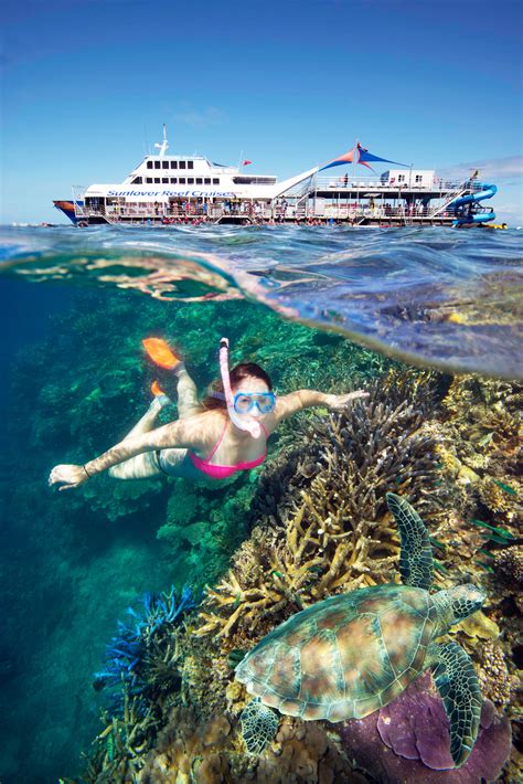 Cairns Reef Tours Tourism Town The Tourism Marketplace Find And Book Authentic Experiences