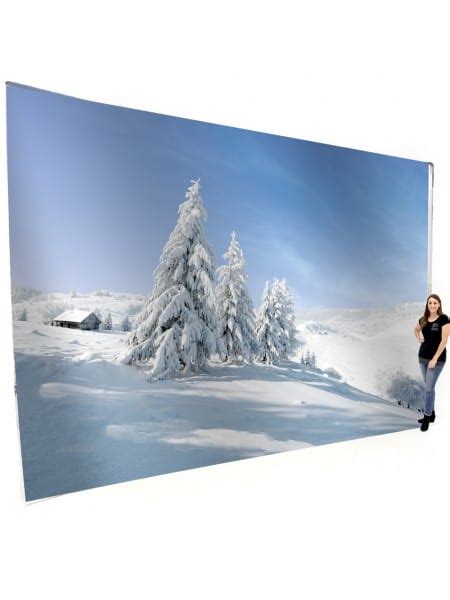 Snowy Winter Scene Backdrop M X M Event Prop Hire