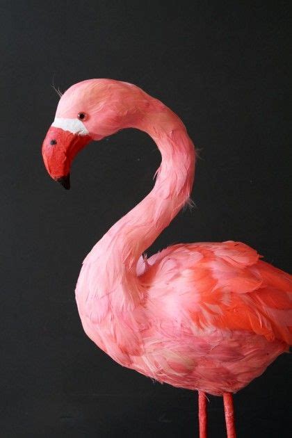 Small Deco Pink Flamingo Pink Flamingos Vintage Fashion Vintage
