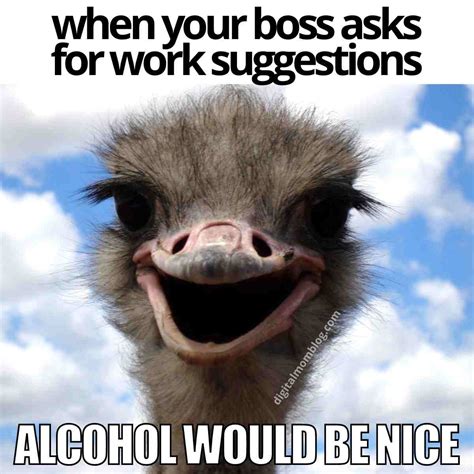 30 of the funniest boss memes boss humor funny memes