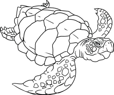 New users enjoy 60% off. Snapping Turtle Coloring Pages at GetColorings.com | Free ...