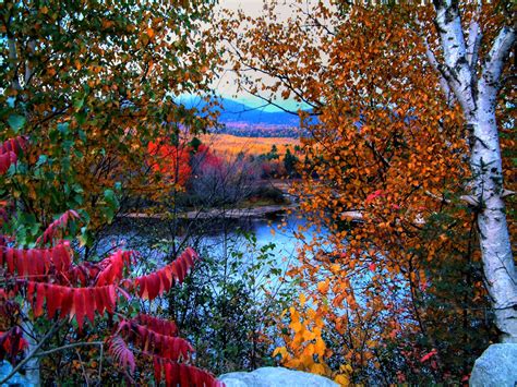 Fall Autumn Trees Lake Leaves Foliage Wallpaper 2048x1536 524365