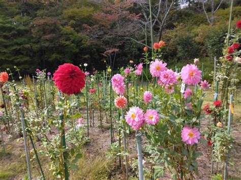 湧永満之記念庭園 株式会社豊昇（ほうしょう）｜広島の建築・土木・リフォーム・リノベーション