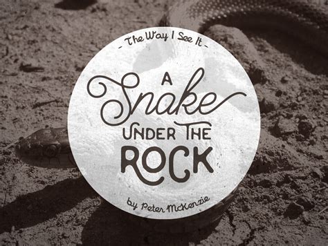 A Snake Under The Rock Ctmi Magazine