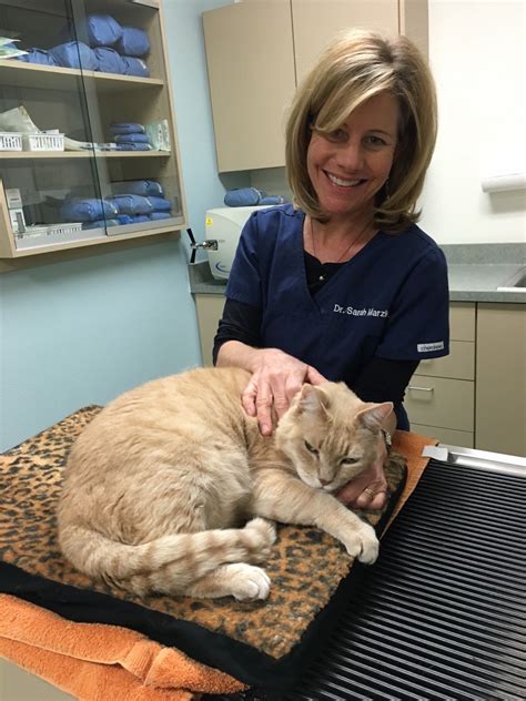Dog & cat repair is a full service veterinary practice in tempe, az specializing in small animal health care. Services Topaz Veterinary Clinic Tempe AZ vaccines surgery ...