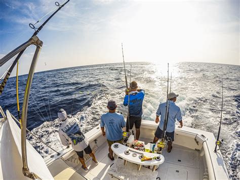 Torneo De Pesca Deportiva Promueve La Conservación Del Pez Vela Y La