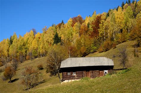 Brown Wooden Cabin Farm Forest Mountains Hd Wallpaper Wallpaper Flare