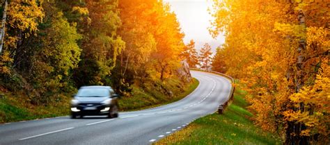 4 Ways To Prepare Your Car For Autumn Finch