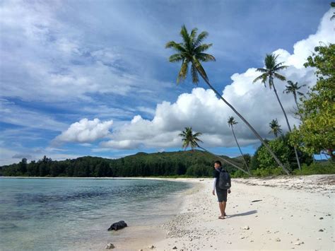 Sejumlah perumahan dan ruas jalan tergenang air membuat akses terputus di sejumlah titik. Seindah Hawaii, Pantai-pantai dengan Pohon Kelapa yang ...