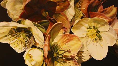 Die Kunst Der Botanischen Malerei Hahnemühle Blog
