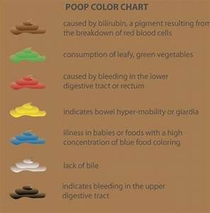 Yellow Color Chart Stool Color Chart Adults Online Shopping