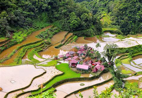 Amazing Ifugao Village In The Middle Of The Bangaan Rice Terraces A Unesco World Heritage Site