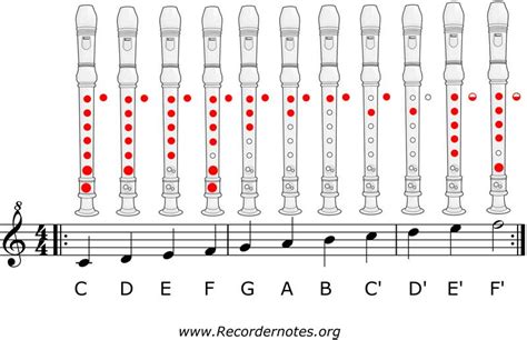 How To Play A Recorder Notes