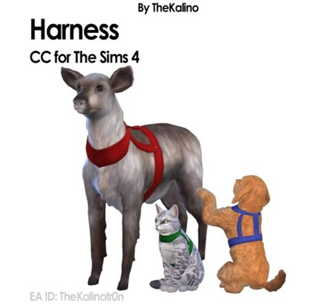 Harness Ts4pet Ts4petacc