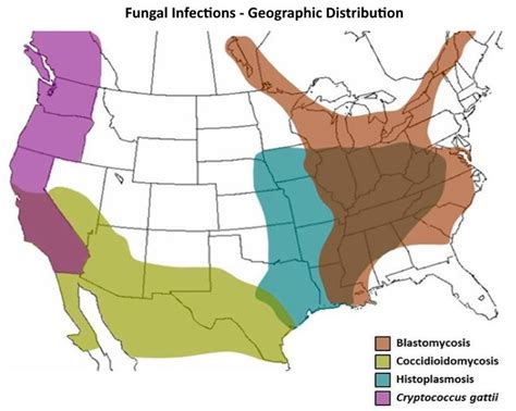 Fungal Infections Geographic Distributions Blastomycosis