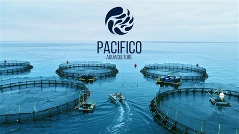 Pacifico font family is one of the best font that's mostly used in magazines and designs. Innovators of Modern Ocean Farming - Pacifico Aquaculture ...