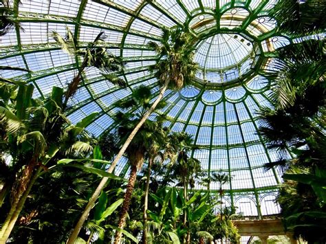 Visit The Royal Greenhouses Of Laeken 2019 Live In Belgium