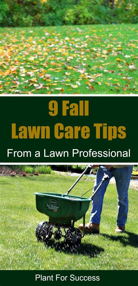 Fall Lawn Care Tips Artofit
