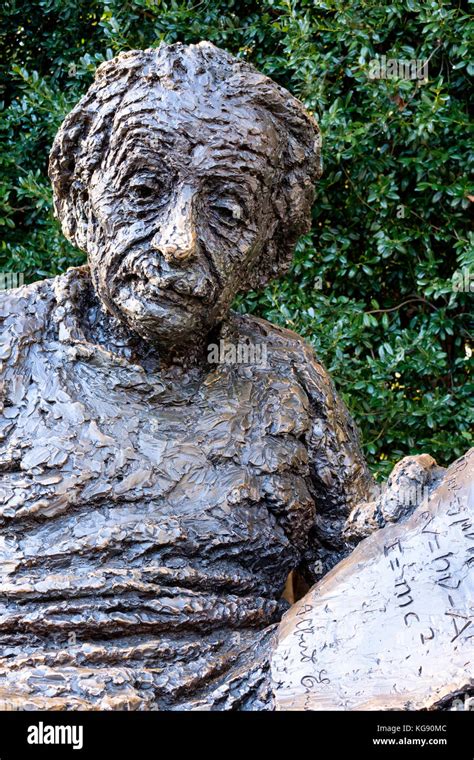 Close Up Of Albert Einsteins Face Bronze Statue Sculpture At The