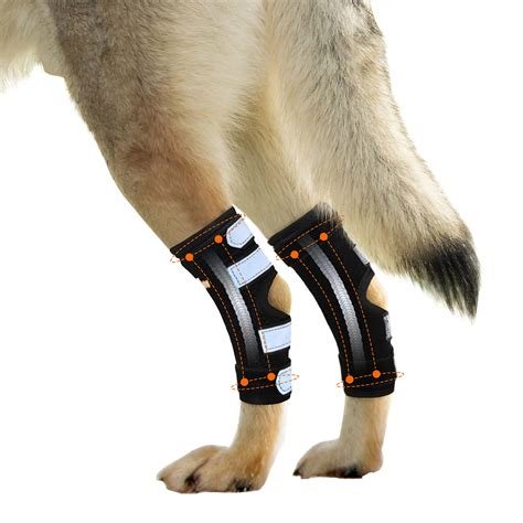 Buy Neoally® Rear Leg Hock Brace With Metal Spring Strips Dog Leg