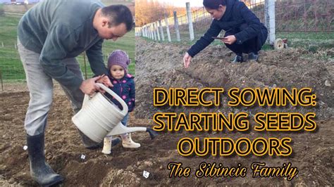 How To Sow Seeds Directly Into The Garden Direct Sowing Starting