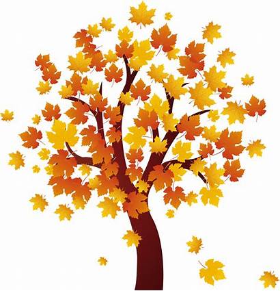 Clipart Autumn Transparent Tree Fall Clipground