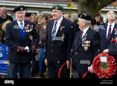 War and remembrance hi-res stock photography and images - Alamy