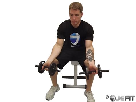 Dumbbell Seated Palms Up Wrist Curl Exercise Database Jefit Best