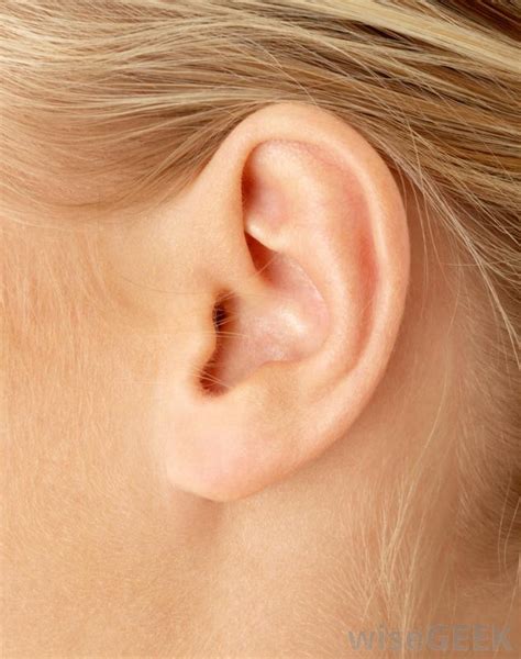 11 Natural Homeopathic Medicines For Dry Ears Homeopathy At