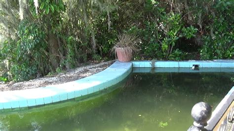 Cypress Gardens Florida Shaped Pool Fasci Garden