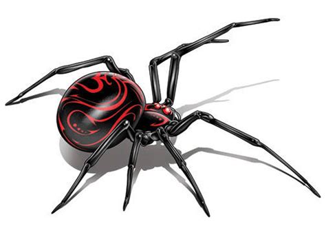 Spider Fake Tattoo Etsy In 2021 Black Widow Spider Tattoo Spider