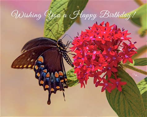 Happy Birthday Wishes With Butterflies